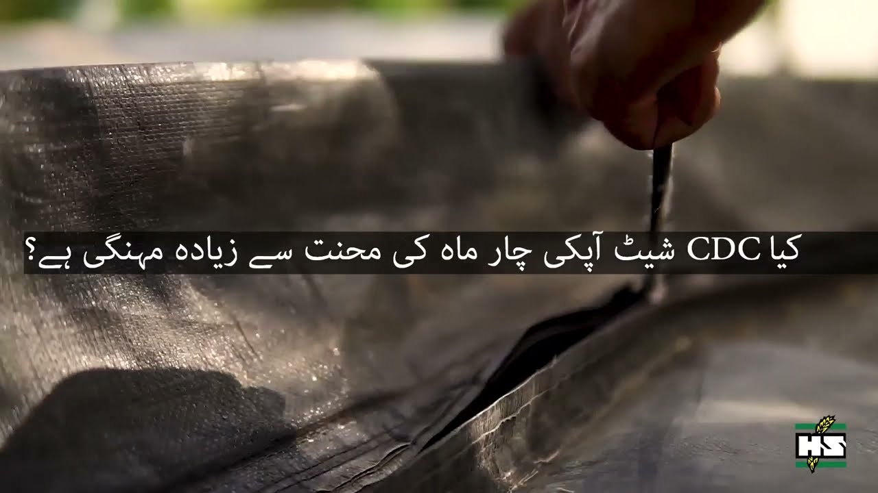 Dry your red chili in less time | Fast & safe drying method | Get rid of rain problems during drying