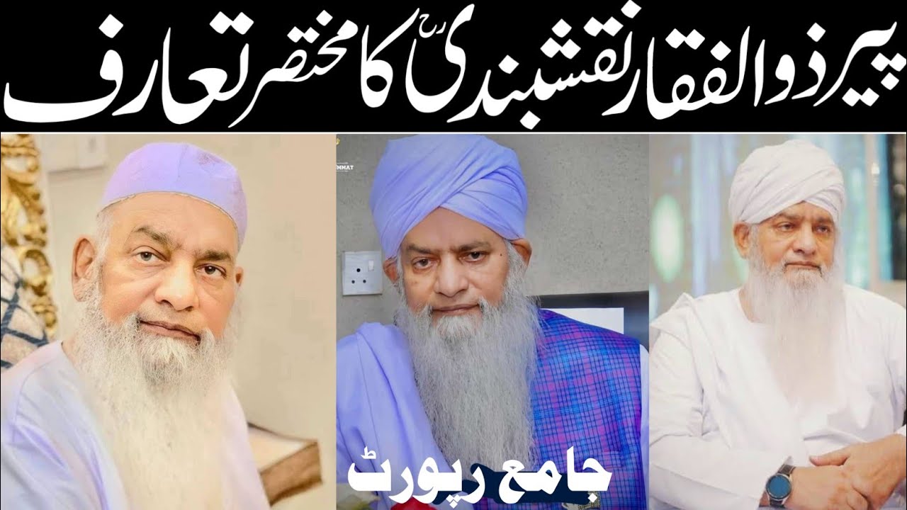 پیر ذوالفقار احمد نقشبندی صاحب کا مختصر تعارف | peer zulfiqar naqshbandi biography 