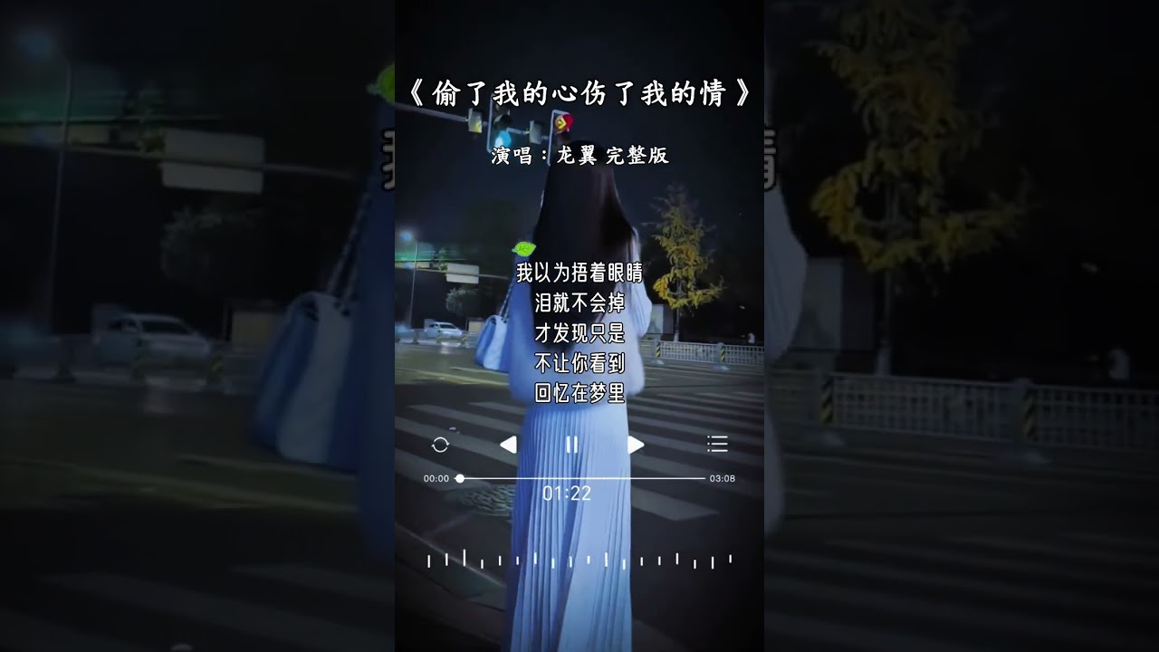 龙翼 的《偷了我的心伤了我的情》