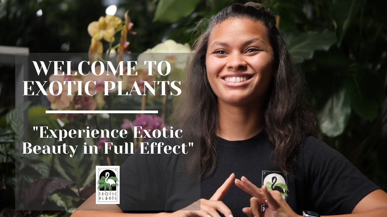 Welcome to Exotic Plants | Sacramento Indoor Plant Specialists