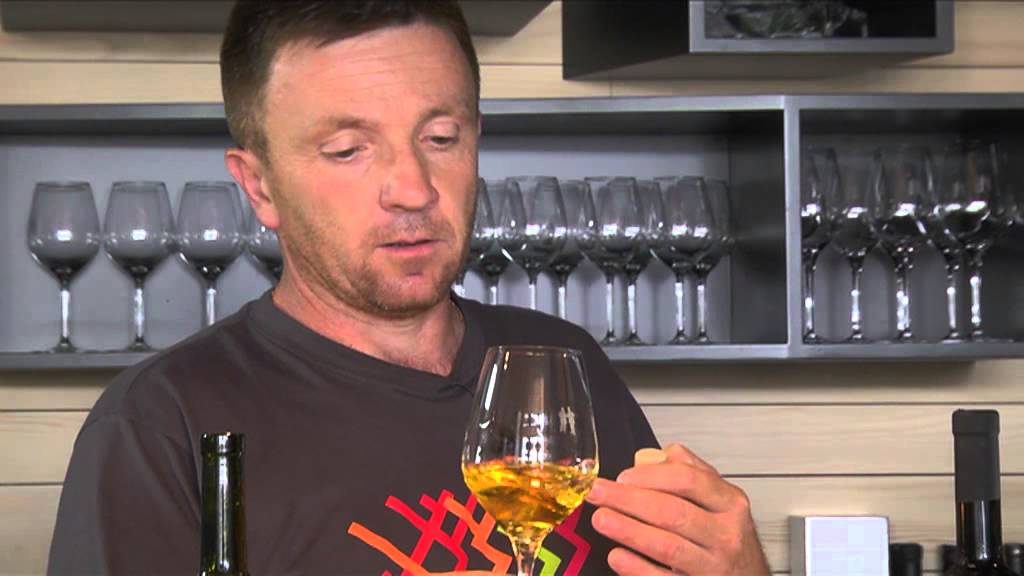 Vinarija Kozlović - Degustacija vina