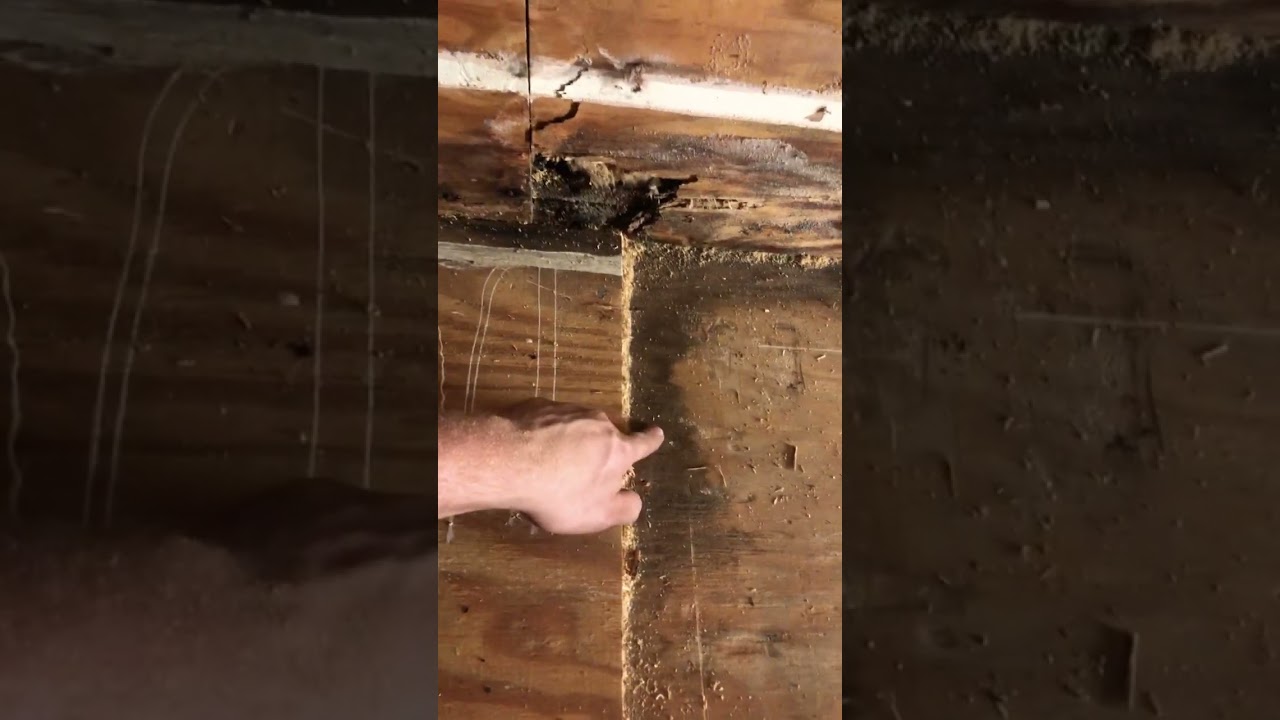 With water damage on a house always more damage then what you can see!!