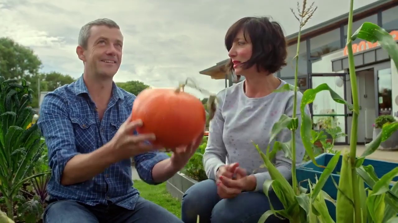 Pumpkins Growing Guide- GROW COOK EAT