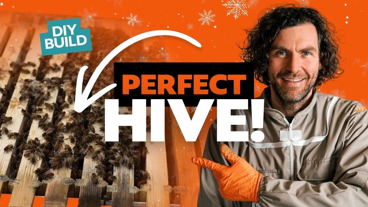Winter Varroa Treatment – Avoid This Mistake and Protect Your Bees