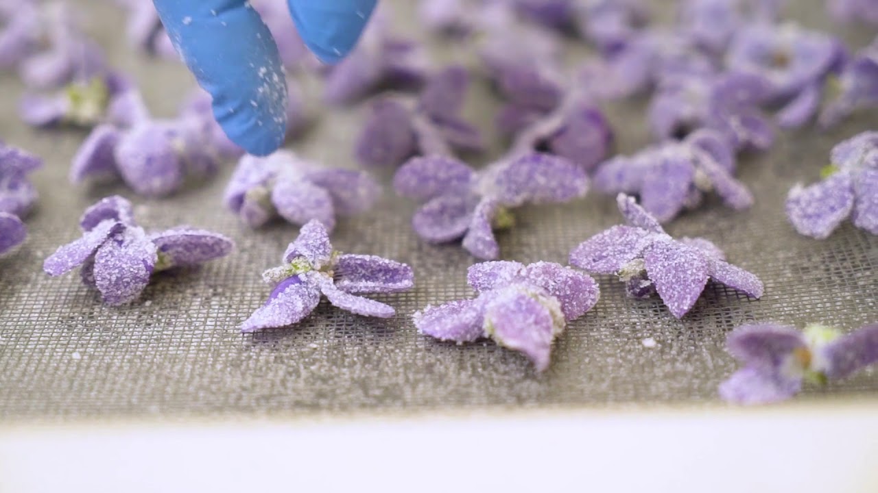 Agrimontana  - Violette cristallizzate