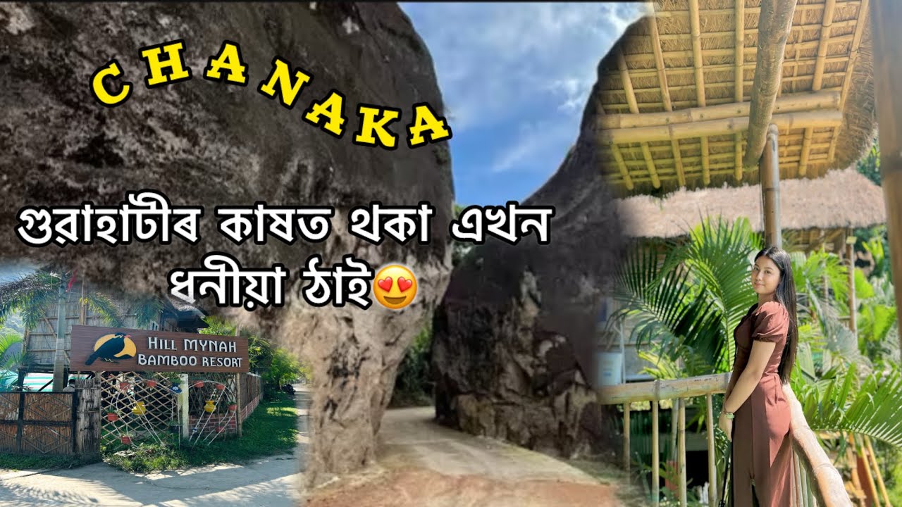 A beautiful place near guwahati😍||CHANAKA-CHAPORI || HILL MYNAH BAMBOO RESORT ||#longvlog #chanaka 