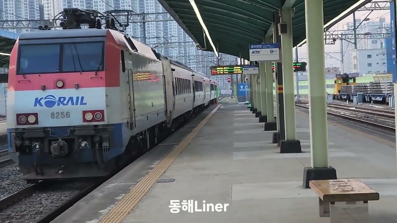 2026.02.20 경부선 서울발 부산행 #1157