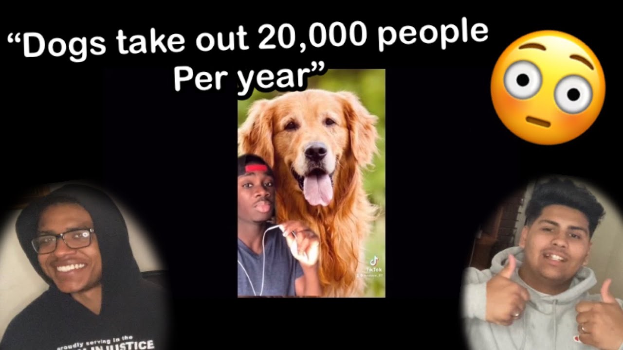 Ruining your favorite animals for 10 minutes straight - Hood Nature | Reaction ‼️