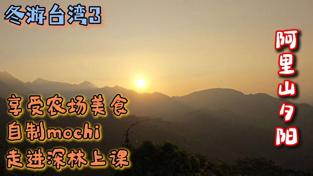 冬游台湾3 走进阿里山 享受农场美食 自制mochi 夜晚深林上课 享受冰冷的天气 Taiwan2025/2026