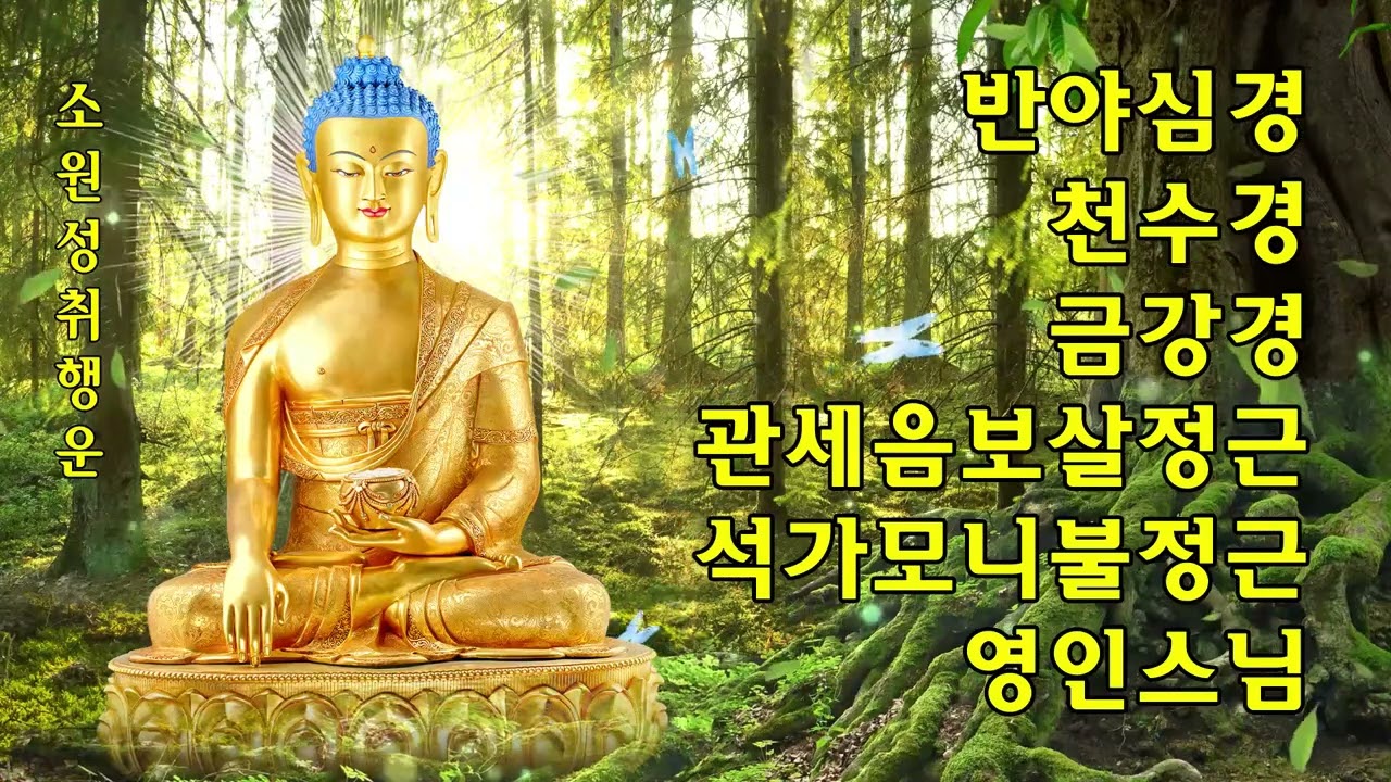 하루 한 번만 들어도 소원이 이루어지는 기도 🙏 건강·부자·성공·풍요를 부르는 불경 독송