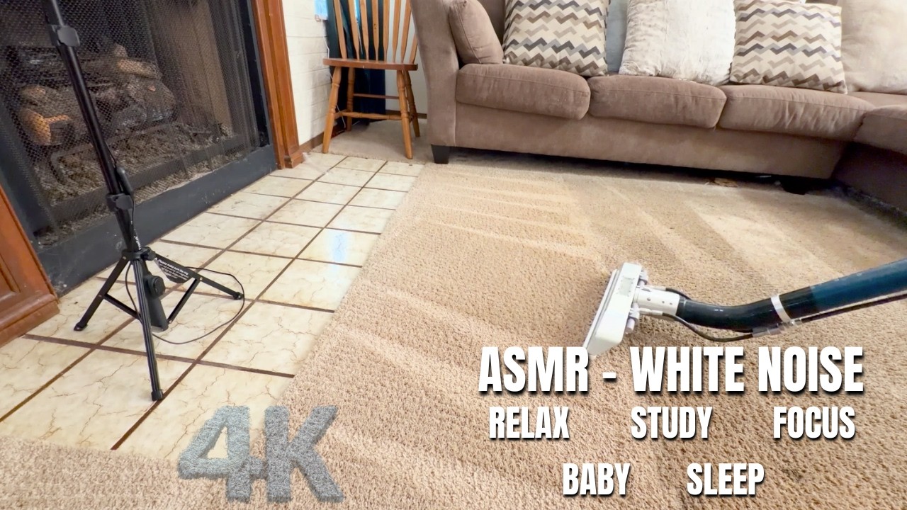 ASMR Carpet Cleaning | 9/10 Soil Level… But Donnie Stole the Show (Sleep Now)
