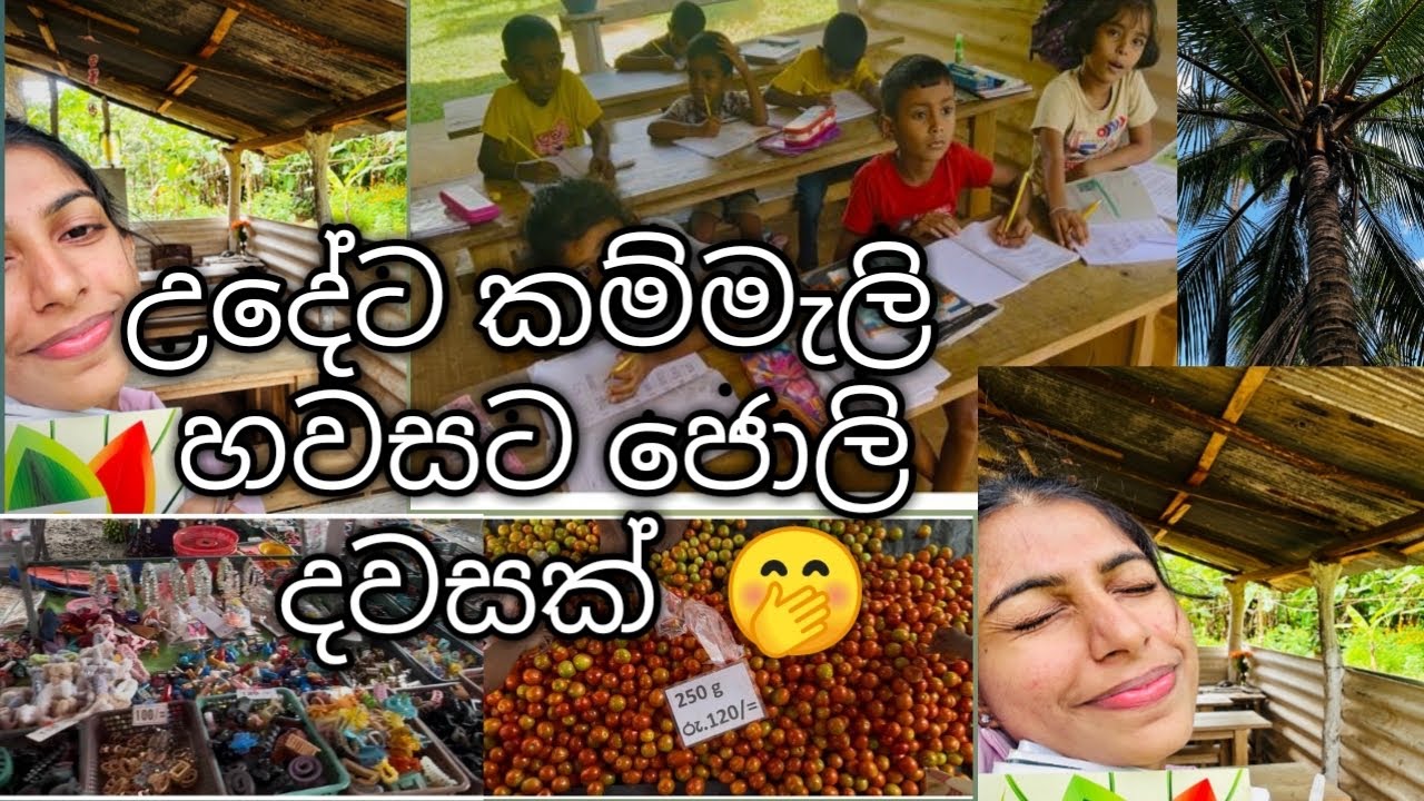 මෙහෙම කම්මැලි දවසක් ඔයාලටත් එනවද 🤭🤭