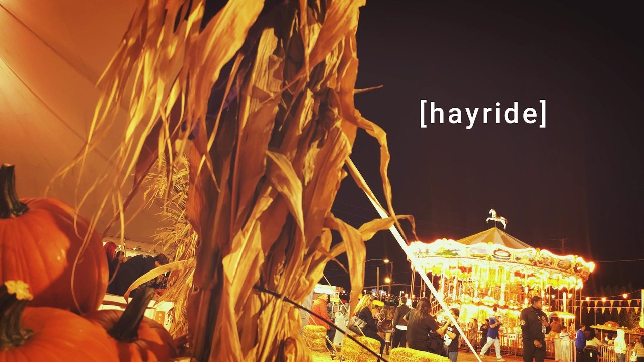 [hay maze ]