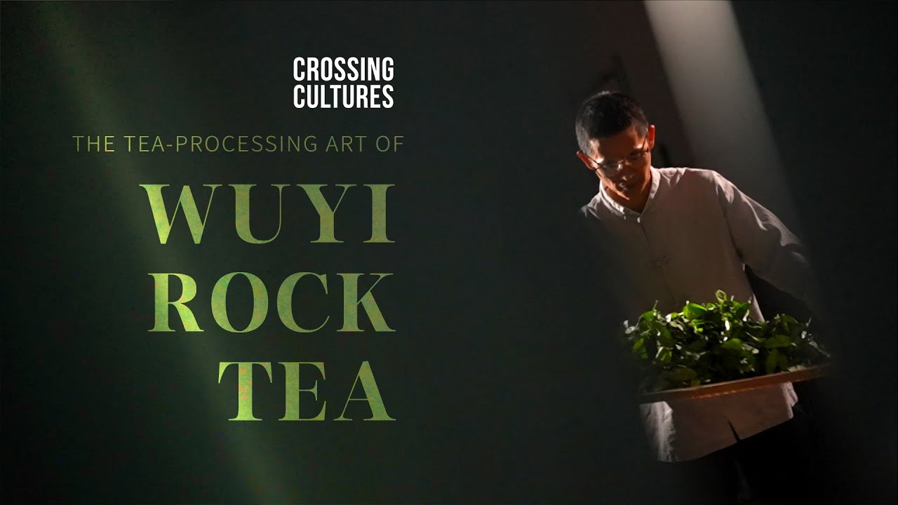 The tea-processing art of Wuyi rock tea