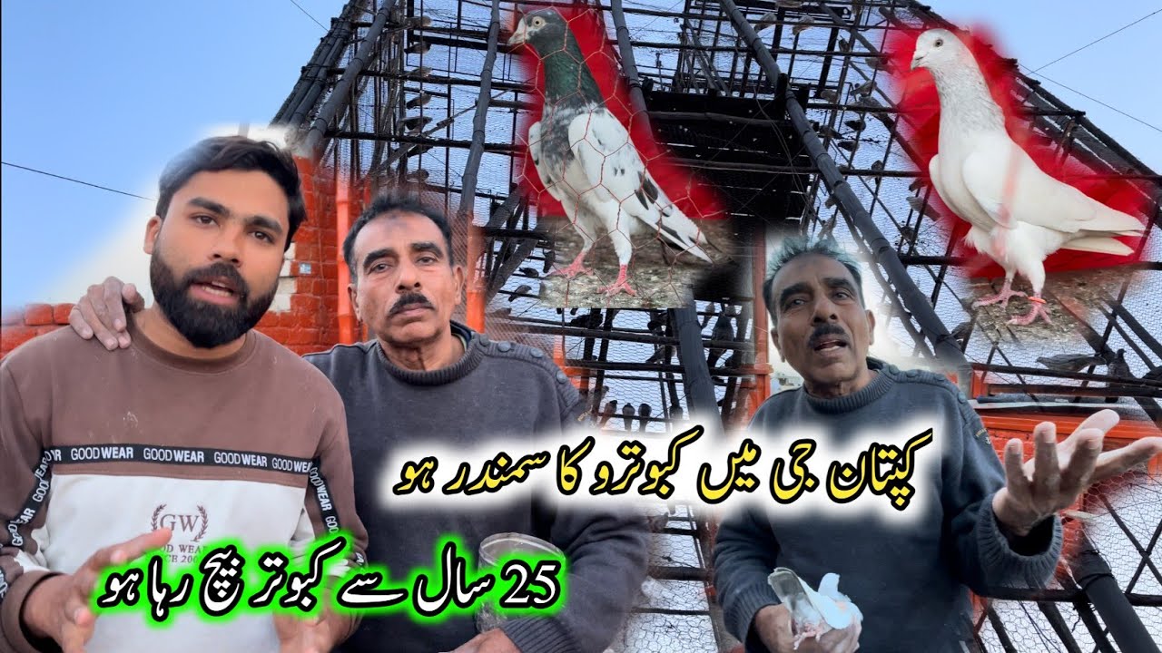 Captain Ji Kabootar Bazi Ka Samundar Ha 🤗