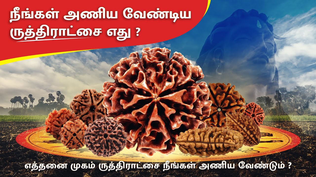 நீங்கள் அணிய வேண்டிய ருத்ராட்சம் எது ? உங்கள் நட்சத்திரத்திற்கான ருத்திராட்சை எது 🤔 #ருத்ராட்சம்