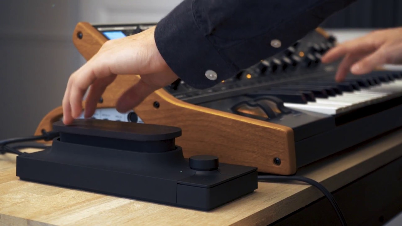 Touch&eacute; & Moog Sub 37 : Funk Bass