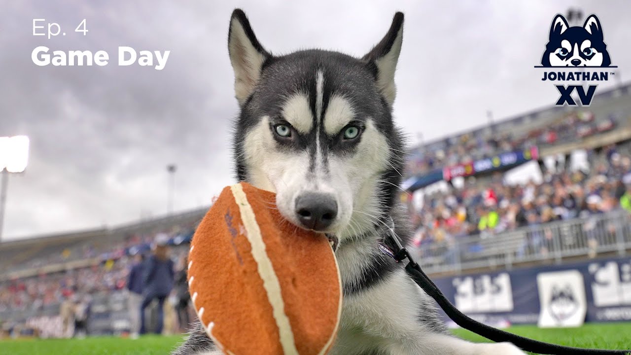 Jonathan XV: Episode 4 - Game Day