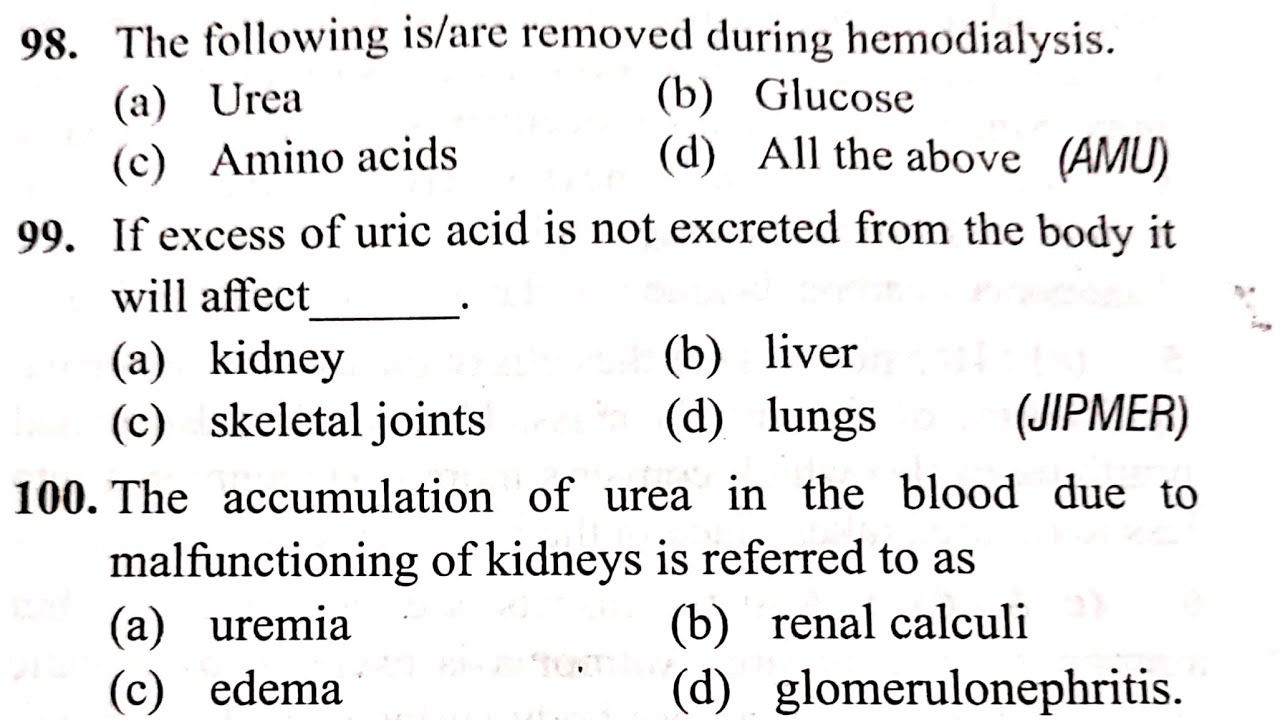 (9) Biology very important questions for NEET 2020 || Excretory System - Part - 3 Animal Physiology