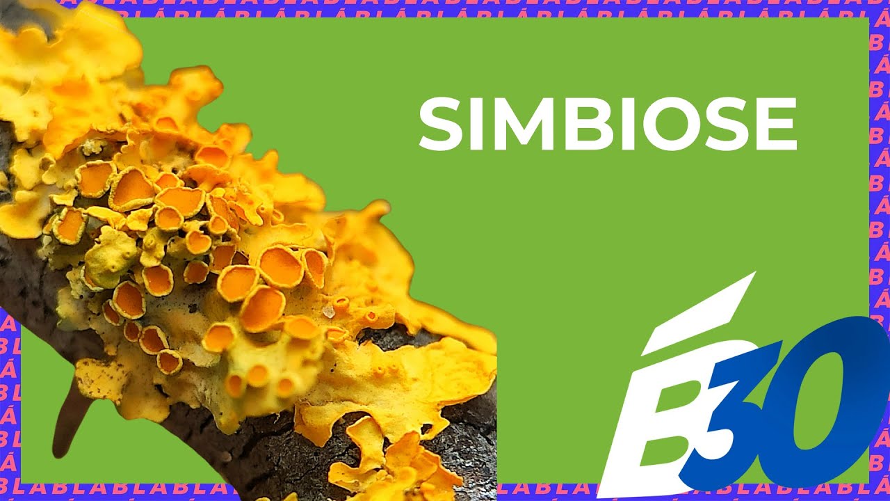 SIMBIOSE | Biologia em Meia Hora