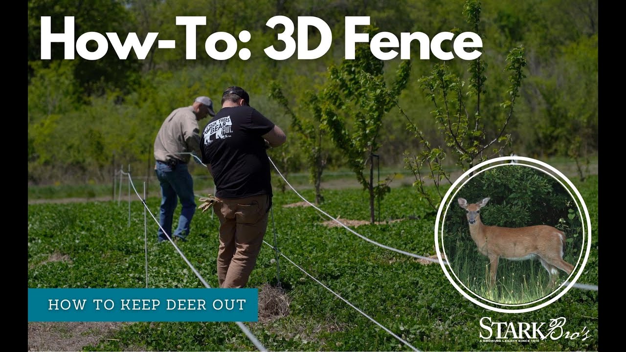 Step-by-Step Guide: Setting Up a 3-D Electric Fence for Deer Protection