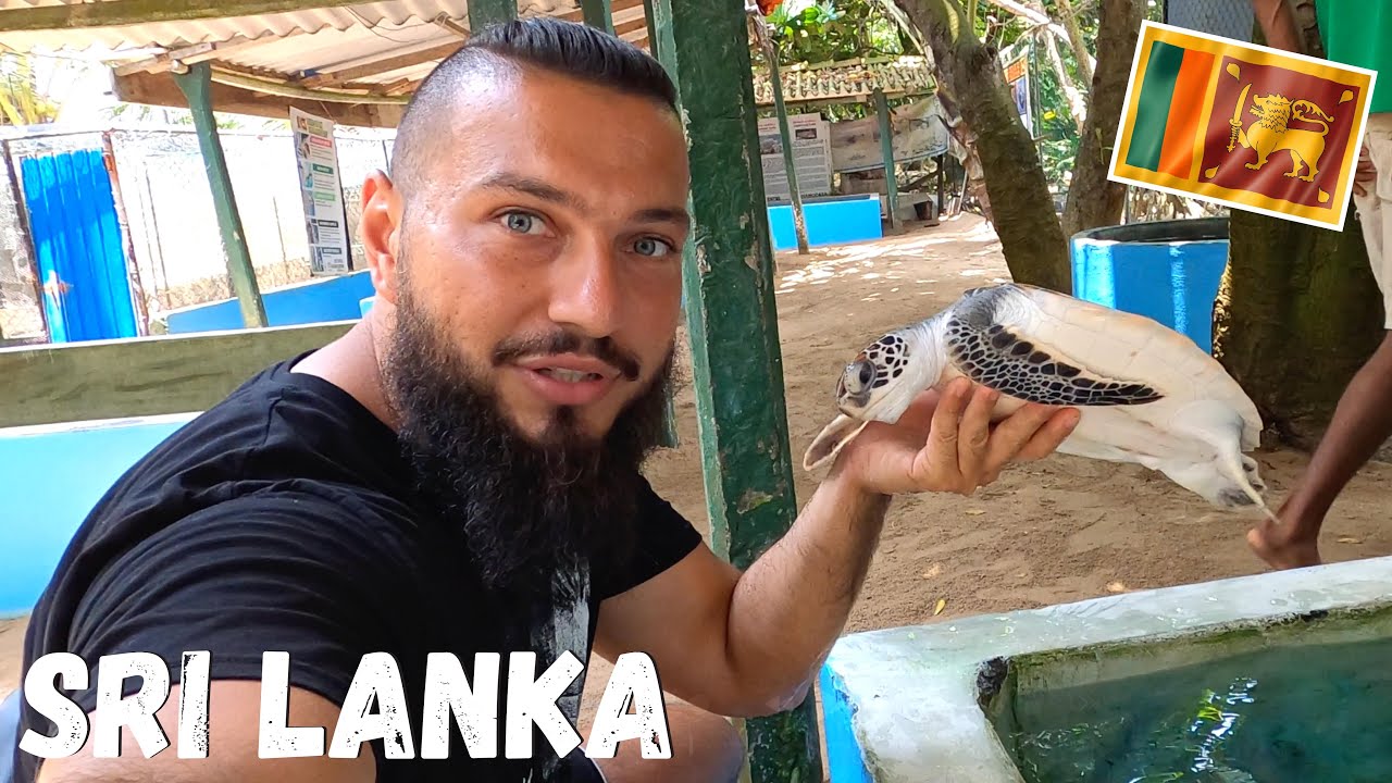 SRI LANKA | Why DO WE NEED Turtle Farm? 🇱🇰