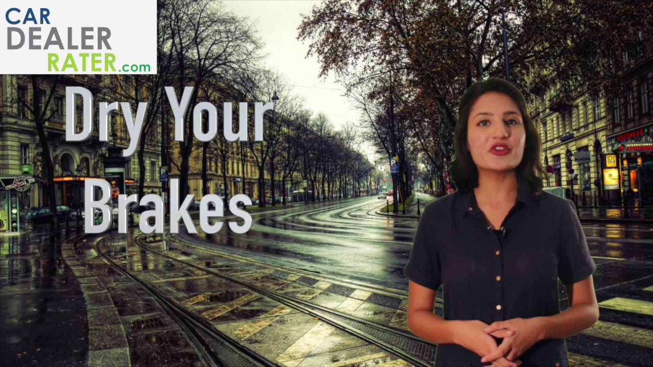Monsoon car care