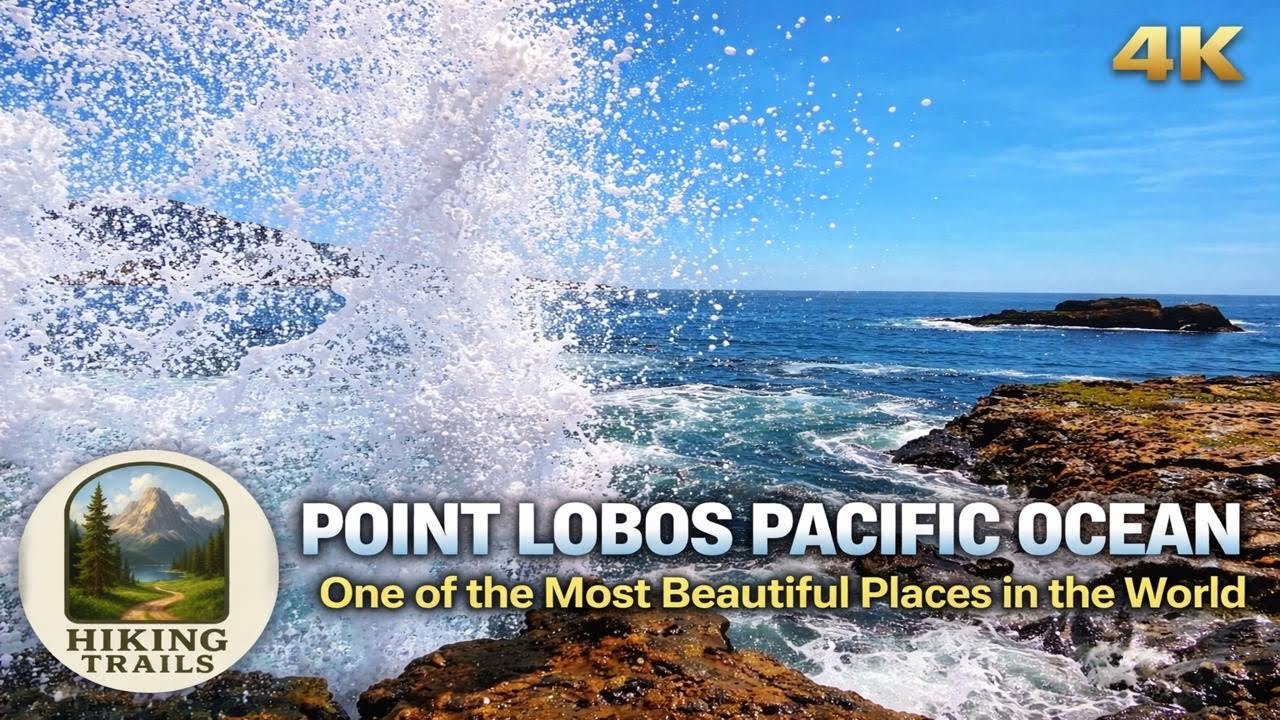 🌊 Point Lobos Pacific Ocean | 1 of the Most Beautiful Places in the World |Relaxing Nature Sounds 4K