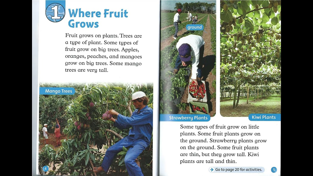Level 1 -  Fruit: Introduction   1  Where fruit grows