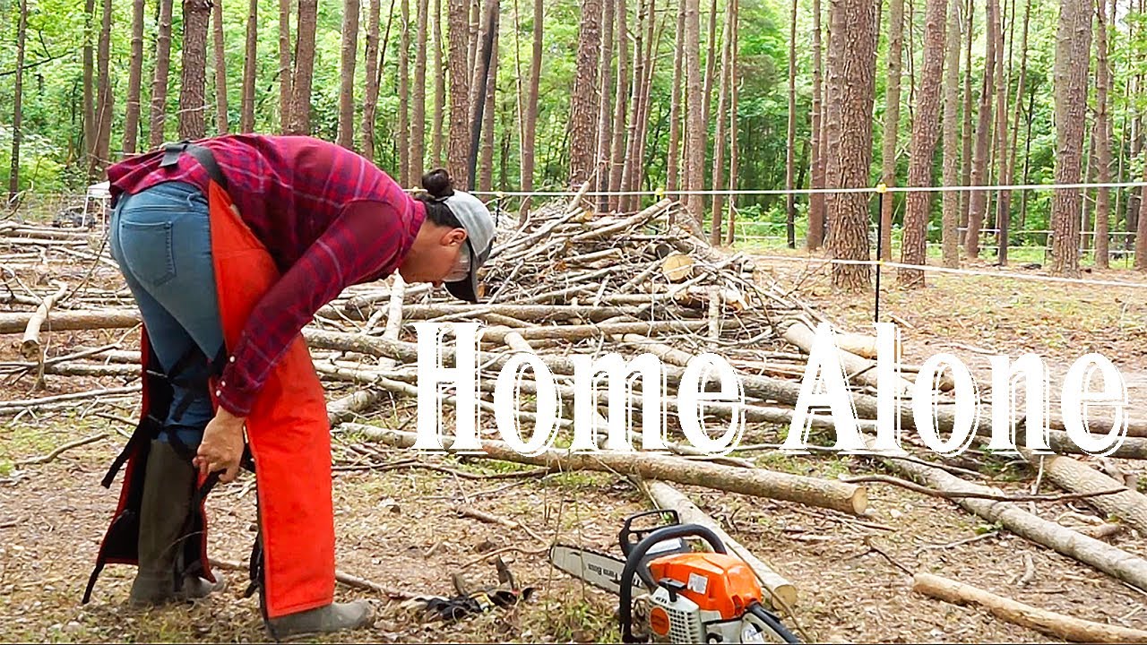 They left my home alone with a chainsaw: HOMESTEAD VLOG