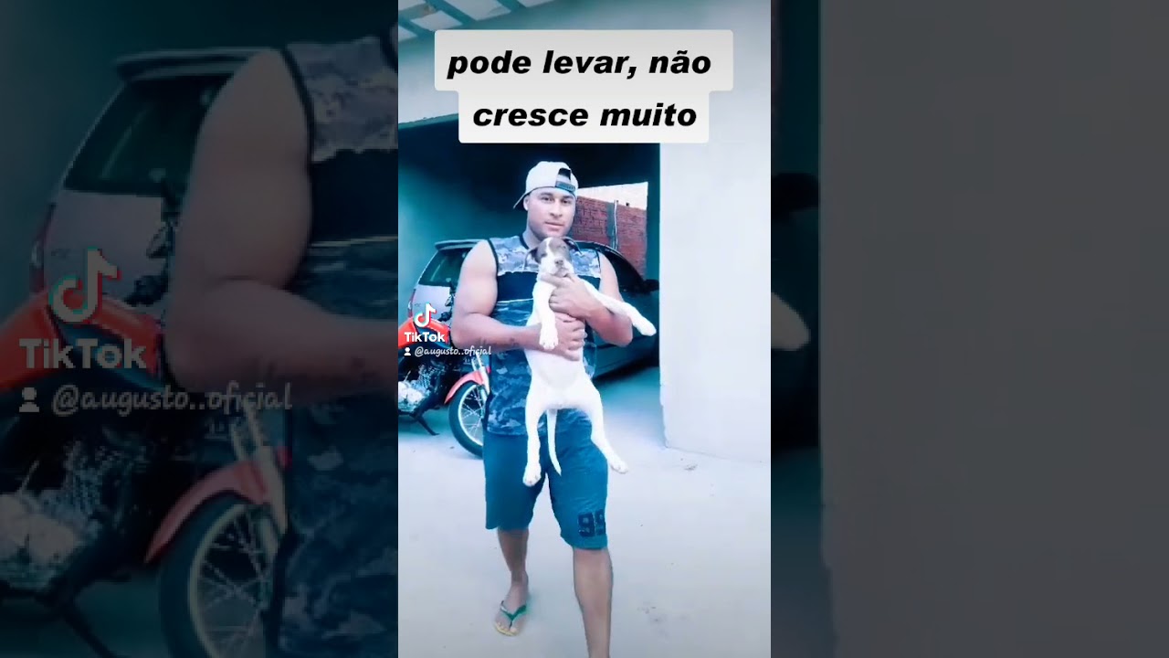 Pode levar n&atilde;o cresce muito😅               #shorts #short #pitbull #enganado