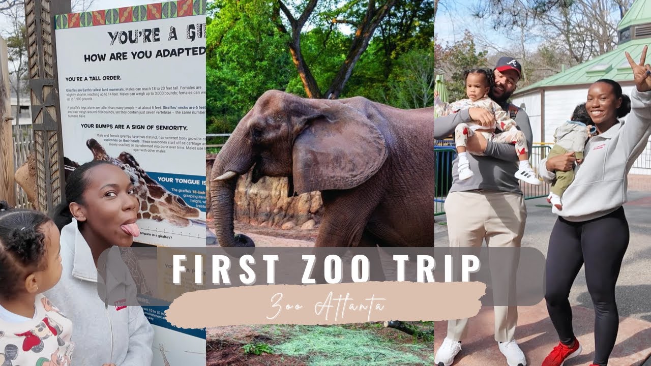 Baby's first Zoo Experience!!
