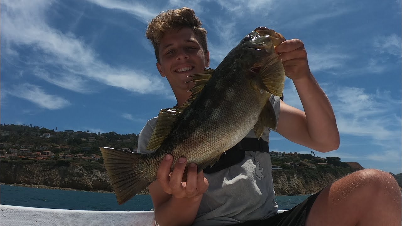 Fishing Palos Verdes KELP FOREST for BIG CALICO BASS