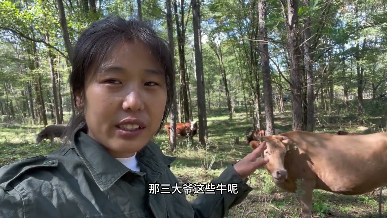 养牛要有主心骨呀，短短半个月少卖好几万，一年白干了