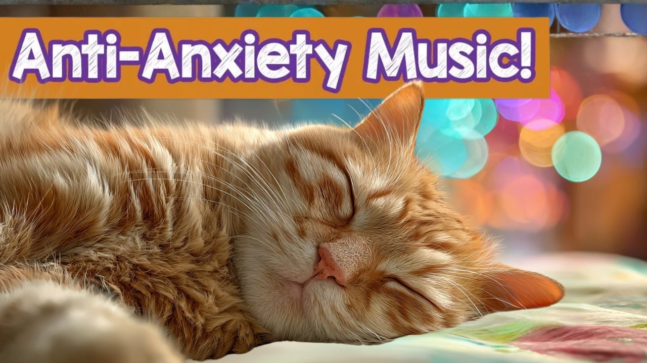 Calming Music for Bored - Stressed - Anxious + Poorly Cats 🌼🐈