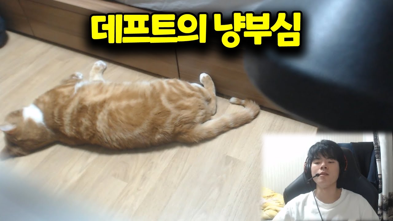 냥부심 부리는 집사 데프트 🐱