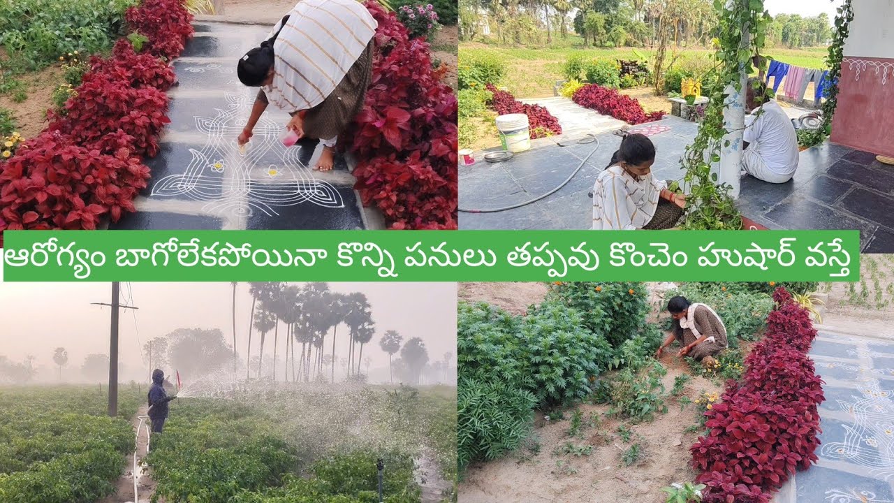 ఆరోగ్యం బాగోలేకపోయినా కొన్ని పనులు తప్పవు కొంచెం హుషార్ వస్తే 
