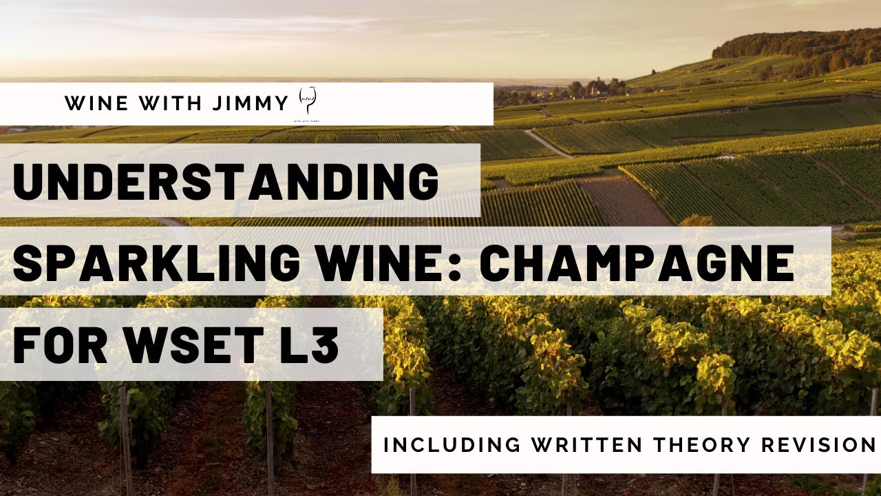 Понимание игристого вина для WSET L3, часть 3 &mdash; шампанское