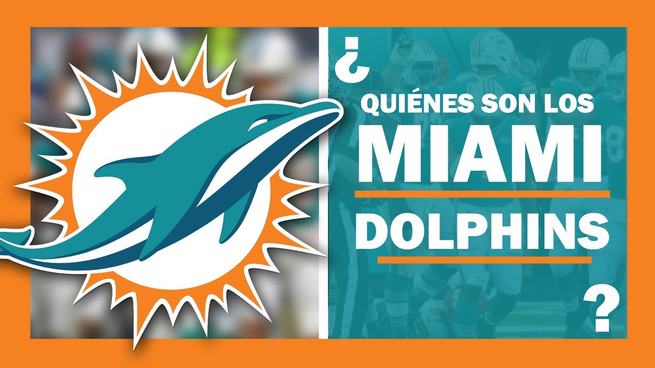 🔴NFL TEAMS: EVERYTHING you need to KNOW about: ✅ THE MIAMI DOLPHINS