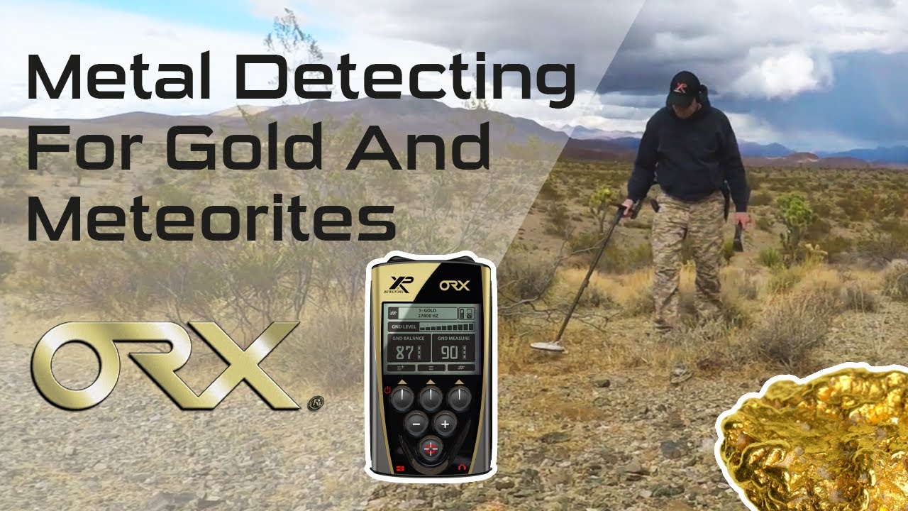 Metal Detecting For Gold And Meteorites