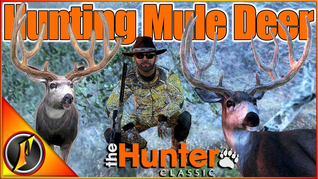 The Giant Nontypical Mule Deer Quest Returns in theHunter Classic!