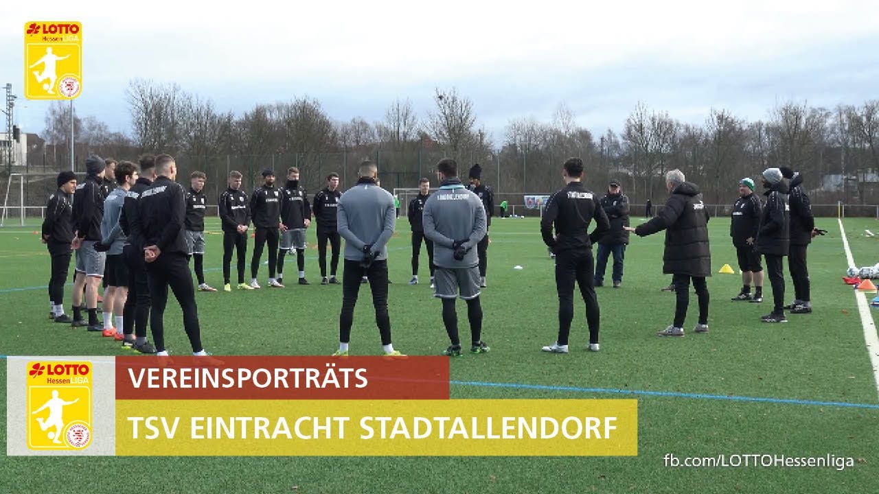 Vereinsporträts | TSV Eintracht Stadtallendorf wieder im Fahrstuhl Richtung Regionalliga