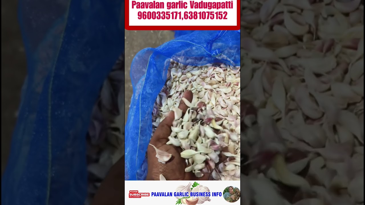 25.10.25 நாட்டு பூண்டு உதிரி விலை நிலவரம்.....
