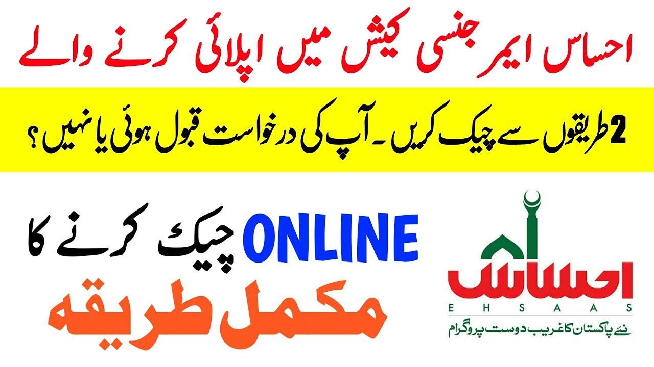 how to check your ehsaas emergency cash program application