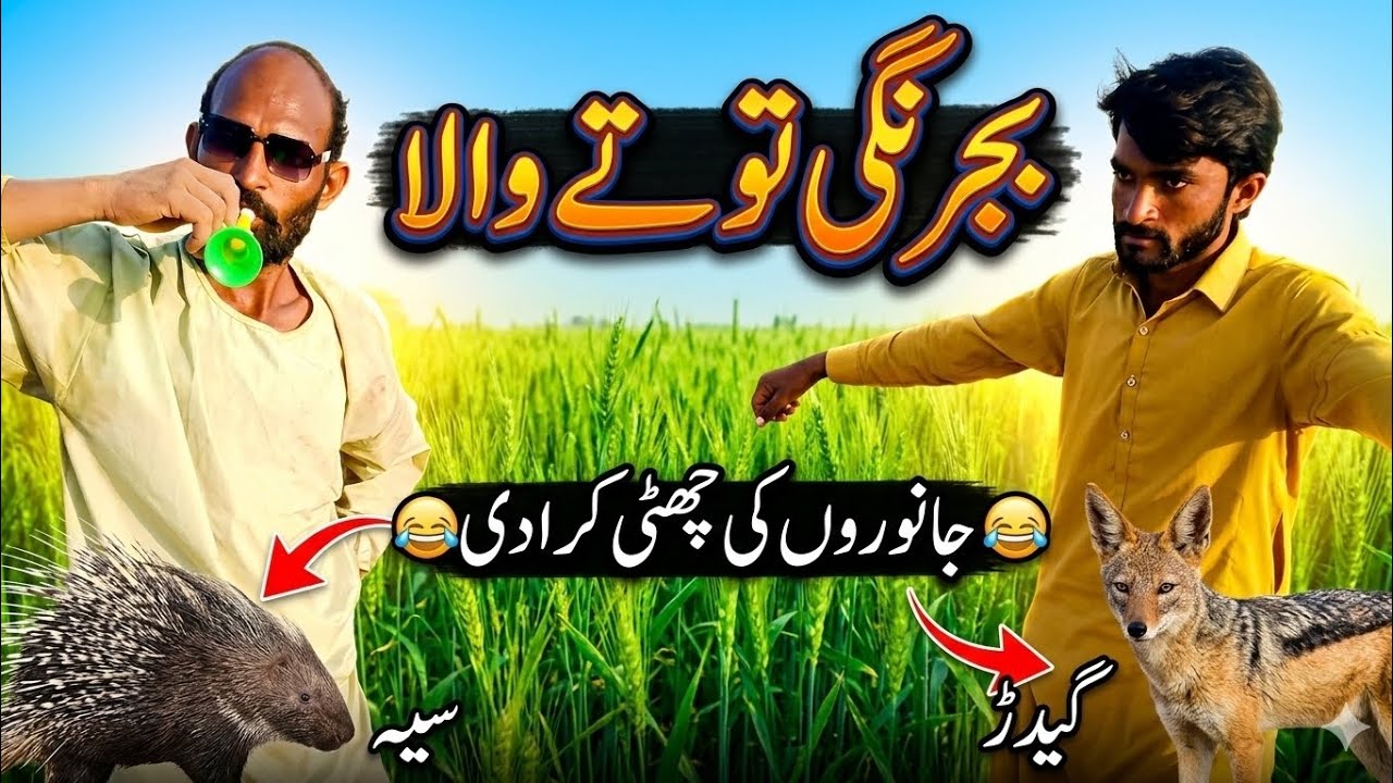 Bajrangi Tote Wala | New Punjabi Comedy Video Of 2026 | By Pendu Proud 