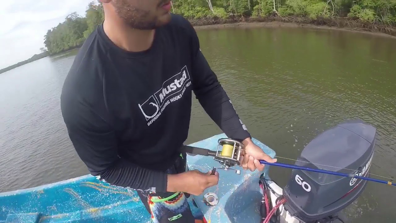 Pesca de estero mutis julio 2018