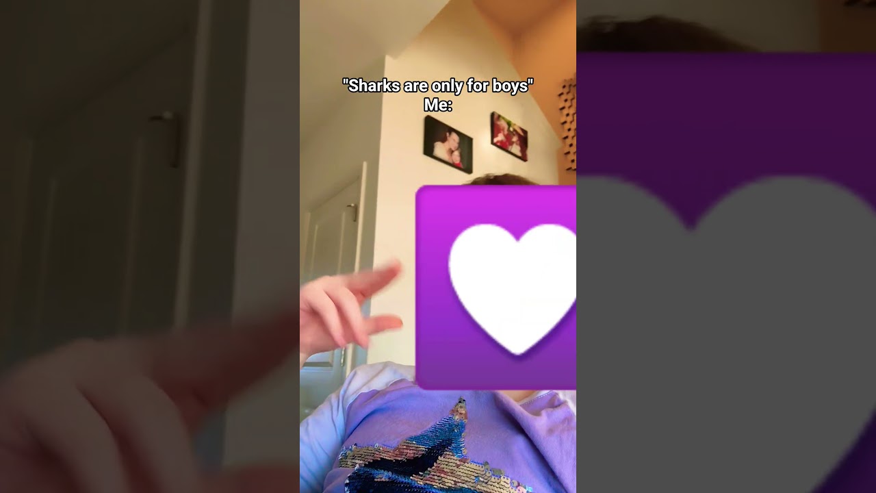 🦈🦈🦈🦈