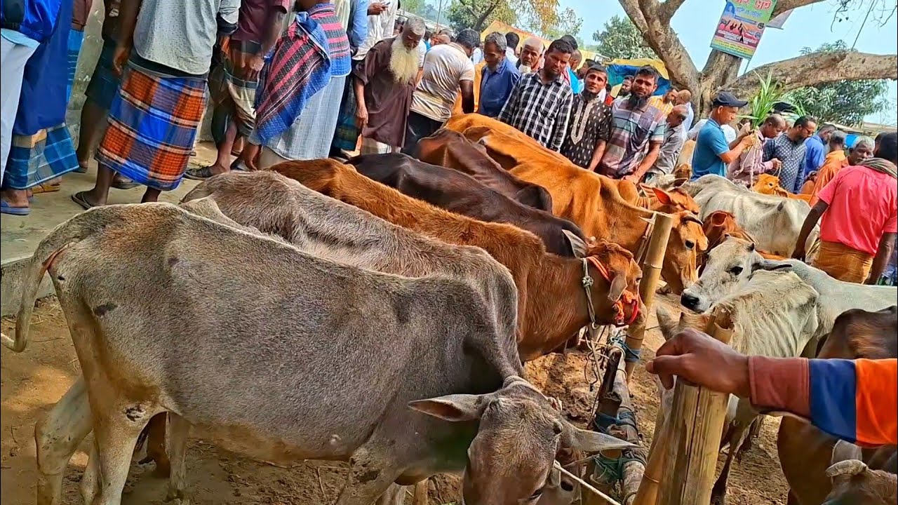 @আজ ১৮ মার্চ