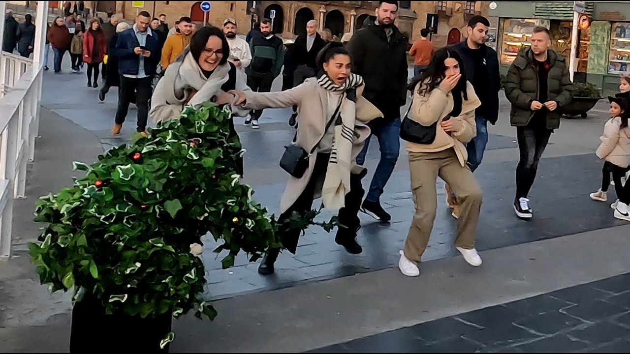 Bushman prank  a Christmas full of scares // hombre planta