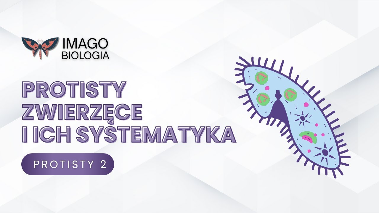 Protisty zwierzęce i ich systematyka